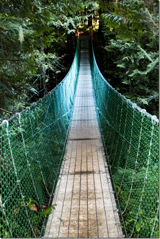 Scary suspension bridge